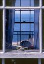 Monhegan Windows